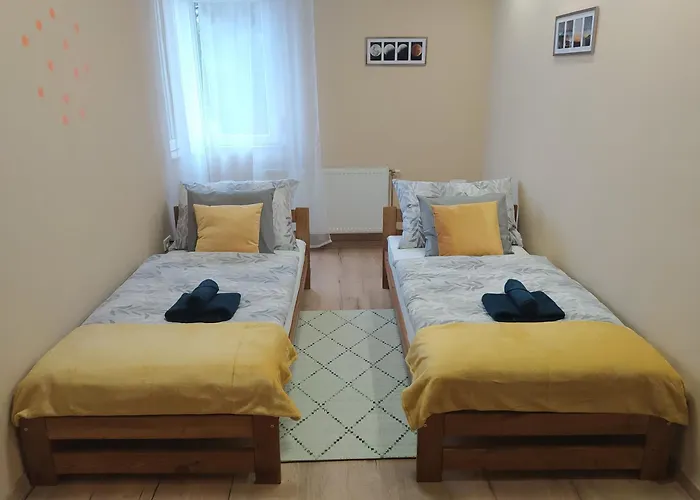 Pitypang Kaposvár